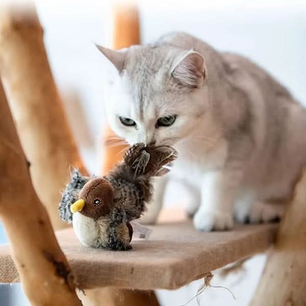 Stimuler kattens naturlige instinkt 
