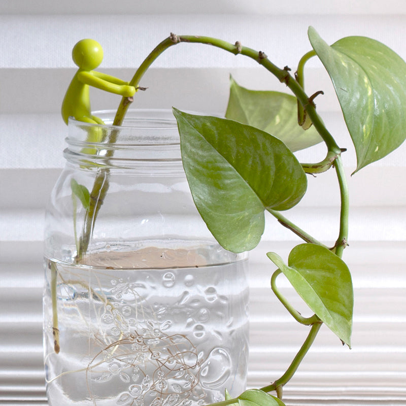 Stöd för dekorativa och flexibla sticklingar för växter (x3) 