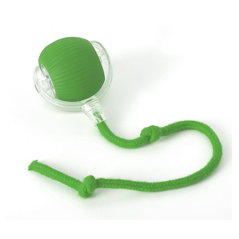 Jouet rebondissant pour chats actifs et curieux
