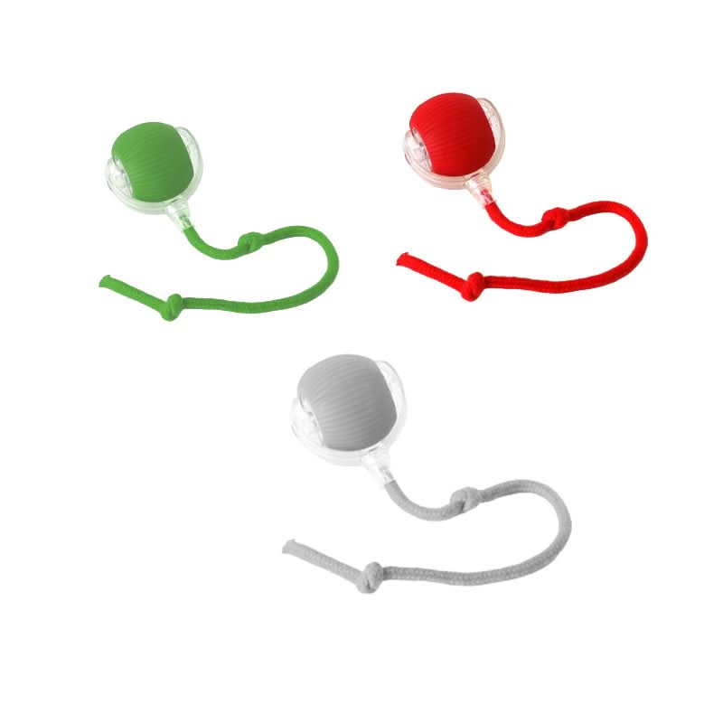 Jouet rebondissant pour chats actifs et curieux