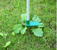 Extracteur de Mauvaises Herbes en Acier pour le Jardin