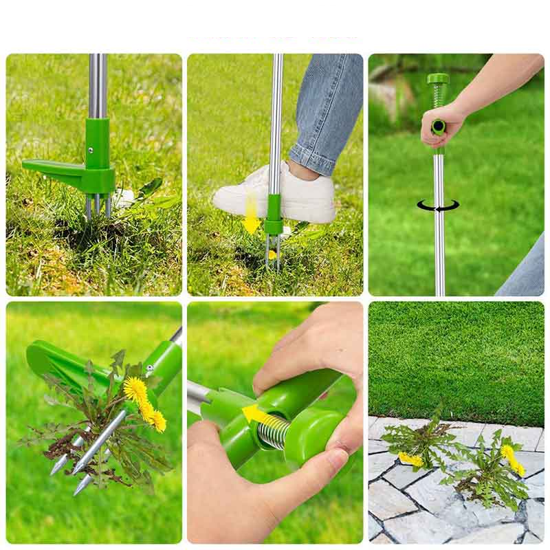 Extracteur de Mauvaises Herbes en Acier pour le Jardin