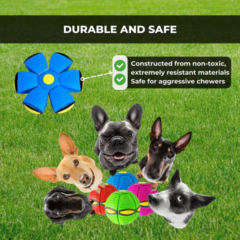 すべての犬を目覚めさせる跳ねるおもちゃ 